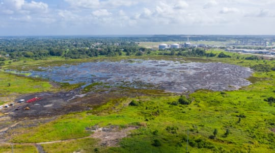 Photo of La Brea Pitch lake