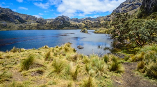 Photo of El Cajas National Park