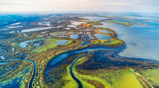 Photo of Wood Buffalo National Park