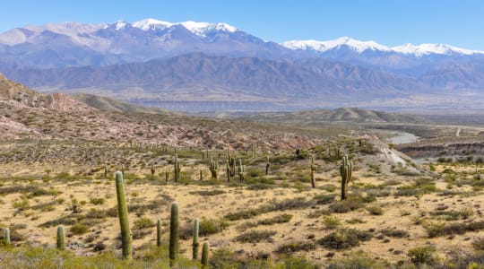 Photo of Los Cardones National Park