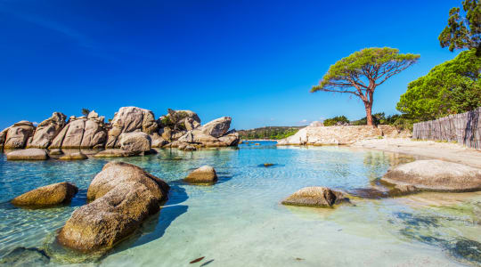 Photo of Plage de Palombaggia