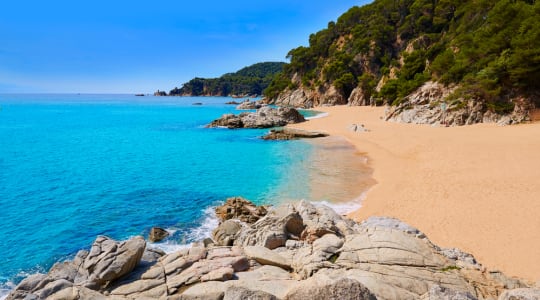 Photo of Playa Cala Sa Boadella