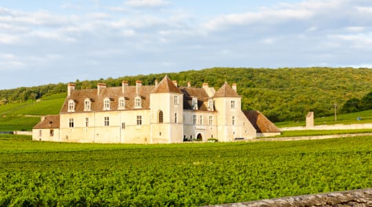 Photo of Clos de Vougeot