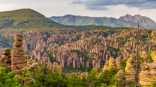 Photo of Chiricahua Mountains