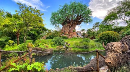 Photo of Disney's Animal Kingdom