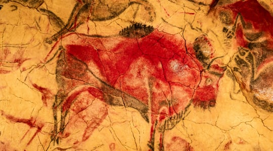 Photo of Cave of Altamira