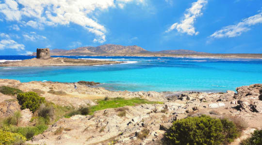 Photo of Asinara