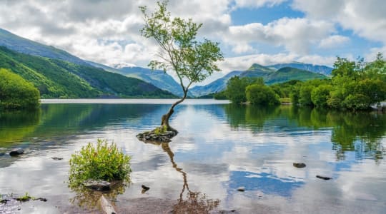 Photo of Llyn Padarn