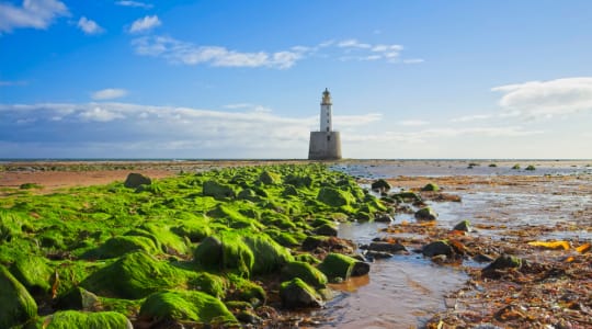 Photo of Rattray Head Lighthouse