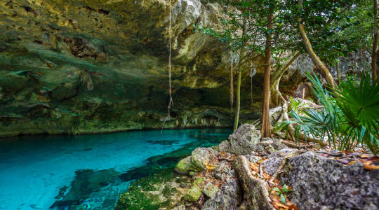 Photo of cenote Dos Ojos