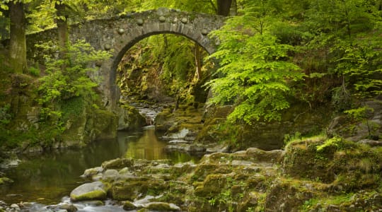 Photo of Tollymore forest park