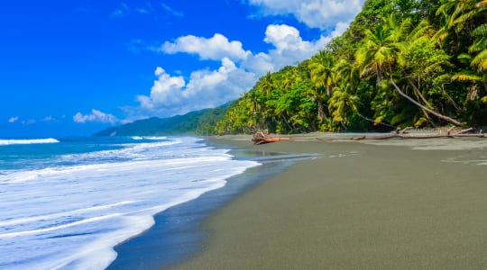 Photo of Corcovado National Park