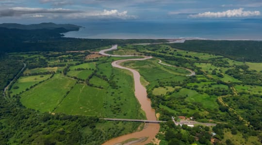 Photo of crocodile bridge Сosta Rica