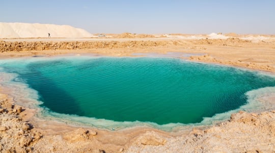 Photo of Siwa oasis