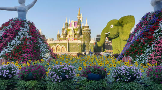Photo of Dubai Miracle garden