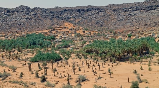 Photo of Terjit oasis