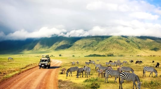 Photo of Ngorongoro