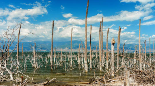 Photo of Lake Enriquillo