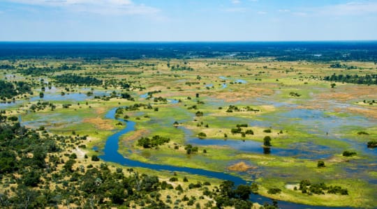 Photo of Okavango Delta