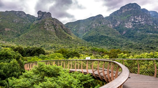 Photo of Kirstenbosch National Botanical Garden