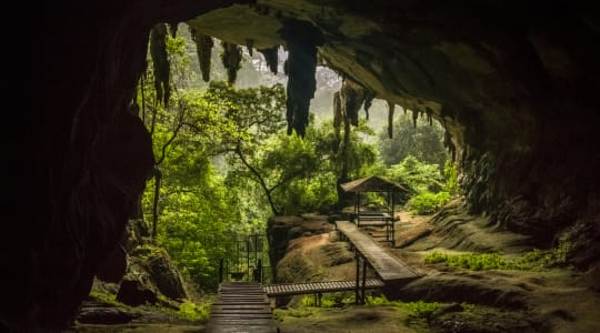 Photo of Niah caves