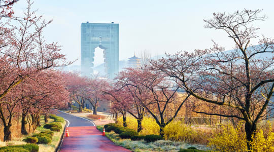 Photo of Gyeongju Expo Park