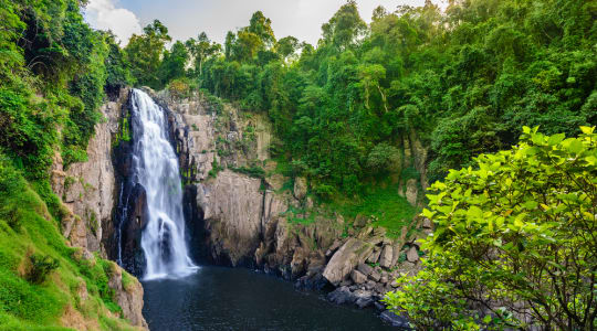 Photo of Khao Yai National Park