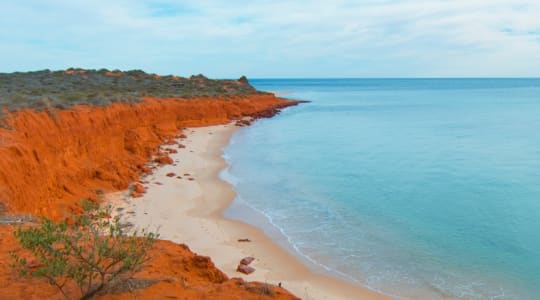 Photo of Shark bay Australia