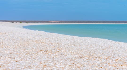 Photo of Shell beach Australia