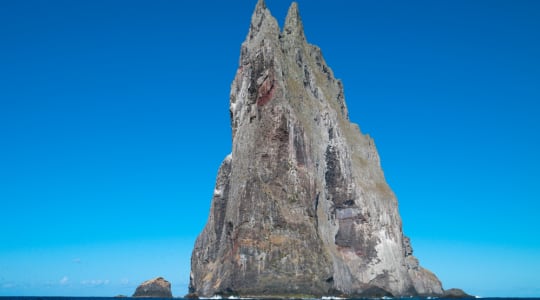 Photo of Ball's Pyramid