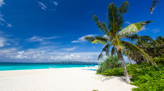 Photo of Puka Shell beach