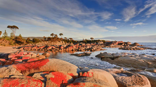 Photo of Bay of Fires