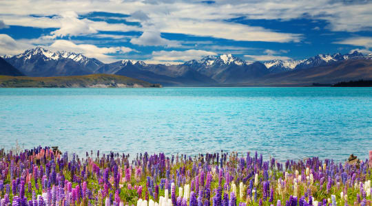 Photo of Lake Tekapo