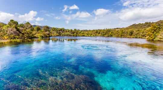 Photo of Te Waikoropupu Springs