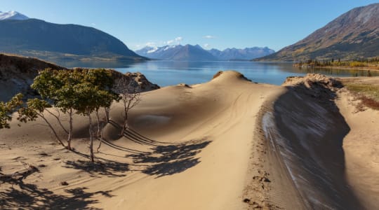 Photo of Carcross desert