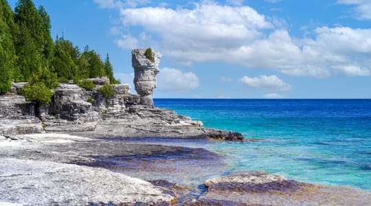 Photo of Flowerpot island