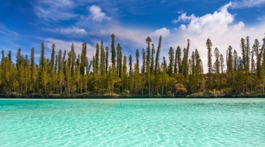 Photo of Oro Bay