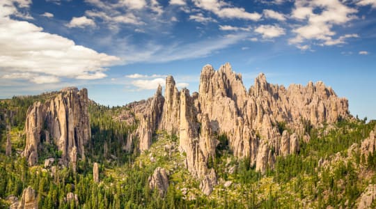 Photo of Custer State Park