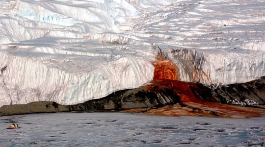 Photo of Blood Falls
