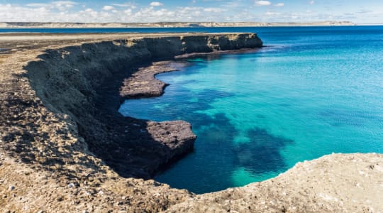 Photo of Peninsula Valdes