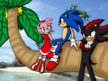 Sonic and Amy and Shadow