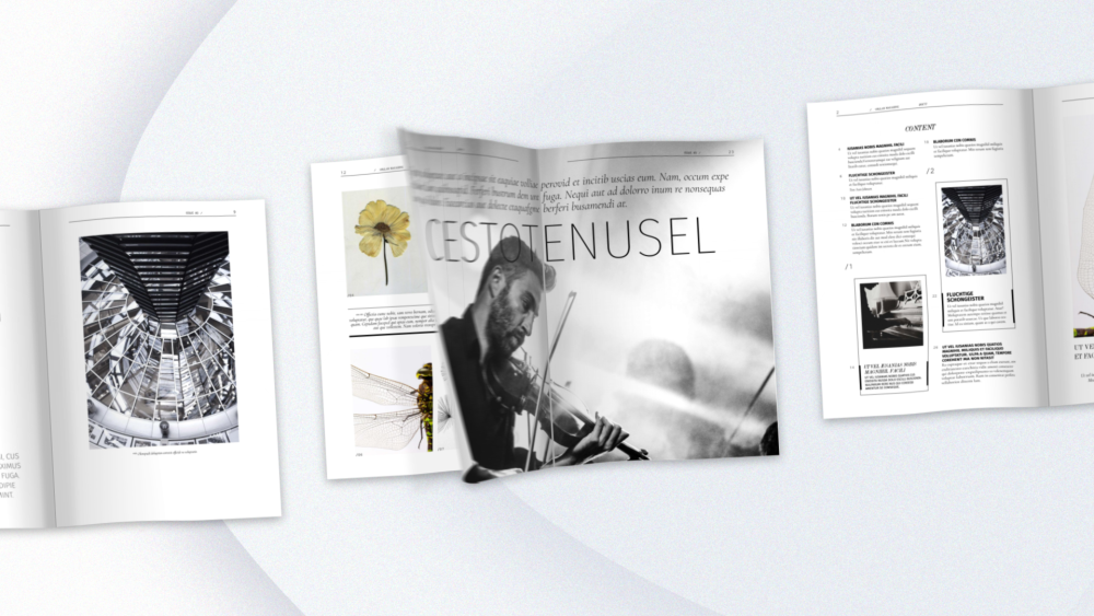 Book and Magazine Promo - 2