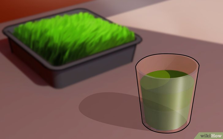 Изображение с названием Grow Wheatgrass at Home Step 13