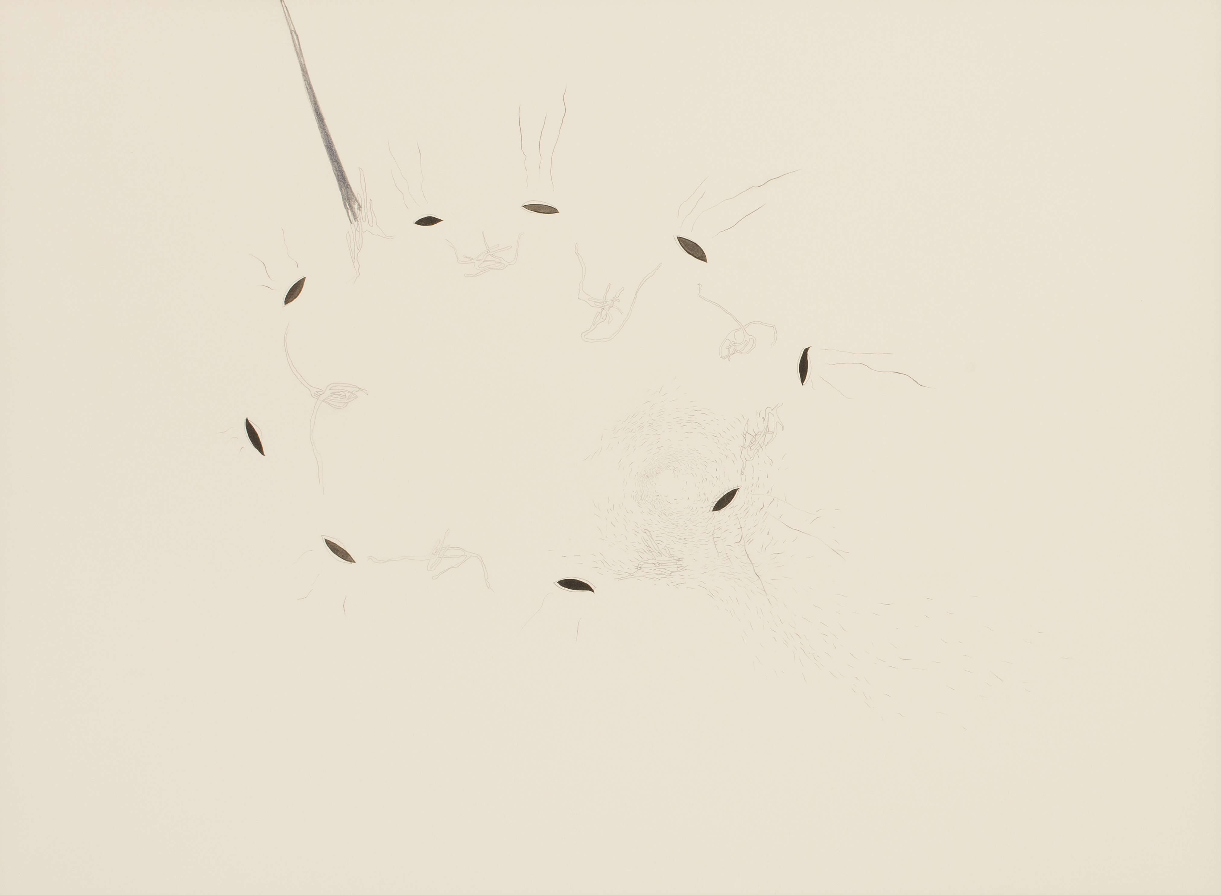 3.어떤 의식2, 57x77cm, pencil on paper, 2015.jpg