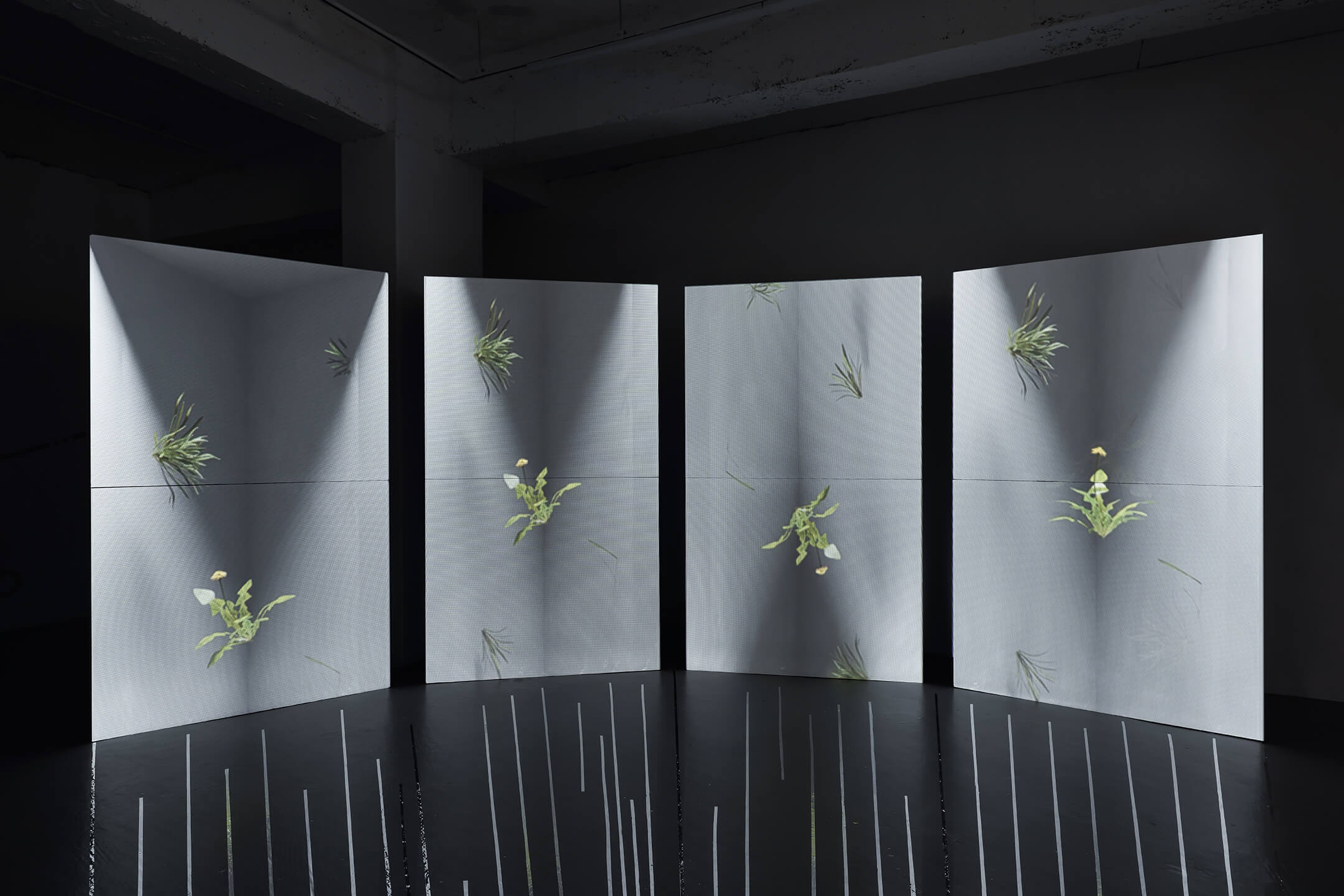 3.Piece of Light, video installatioin.jpeg