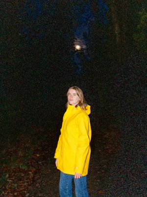 7pm, nature,outside,people, yellow,blue,brown,black