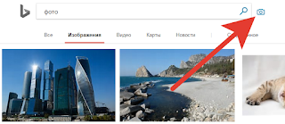 Поиск по картинкам Бинг Поиск по картинкам Бинг