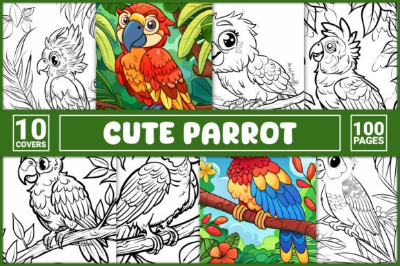 Cute Parrot Coloring Book Cover