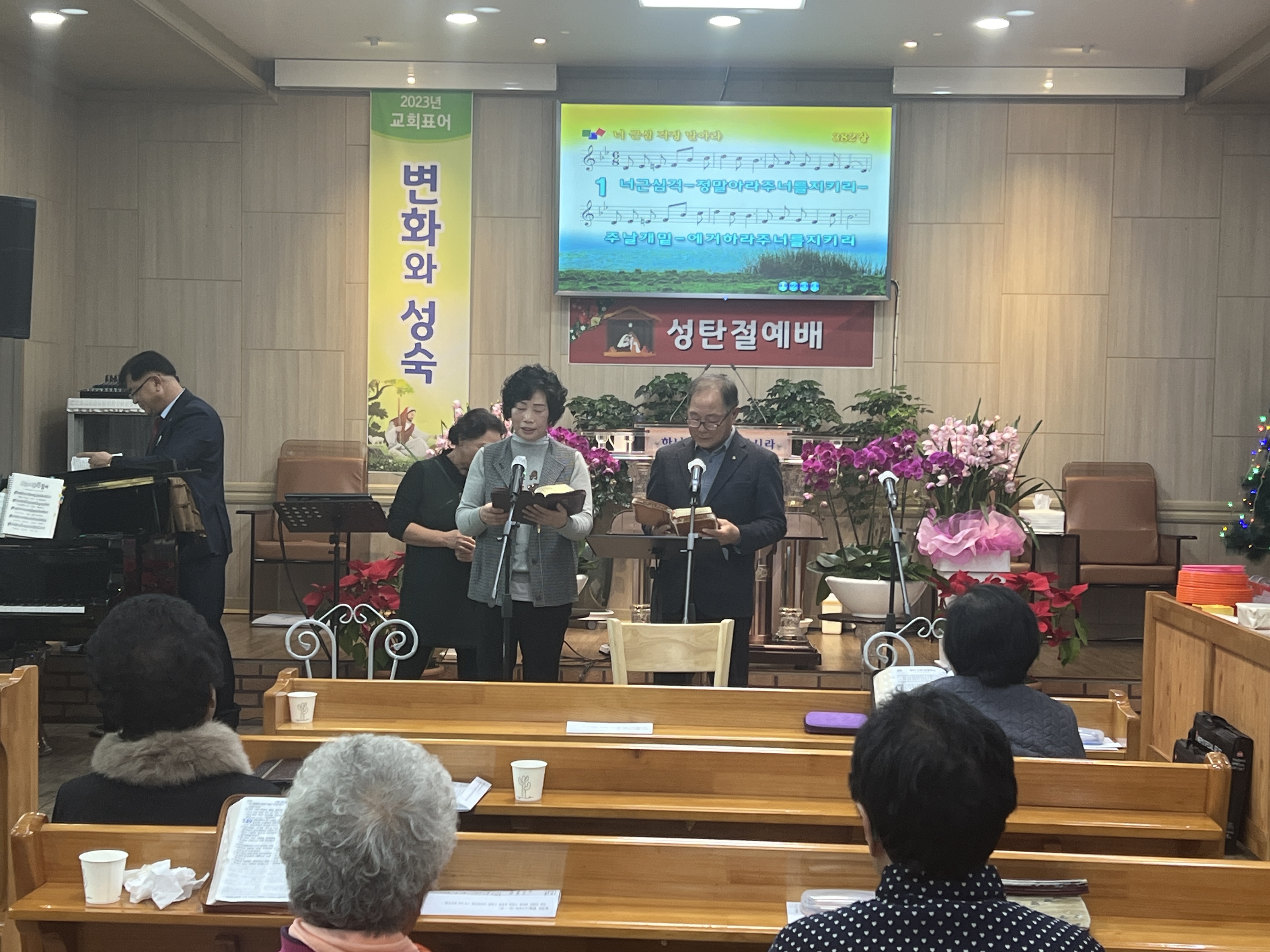 사진