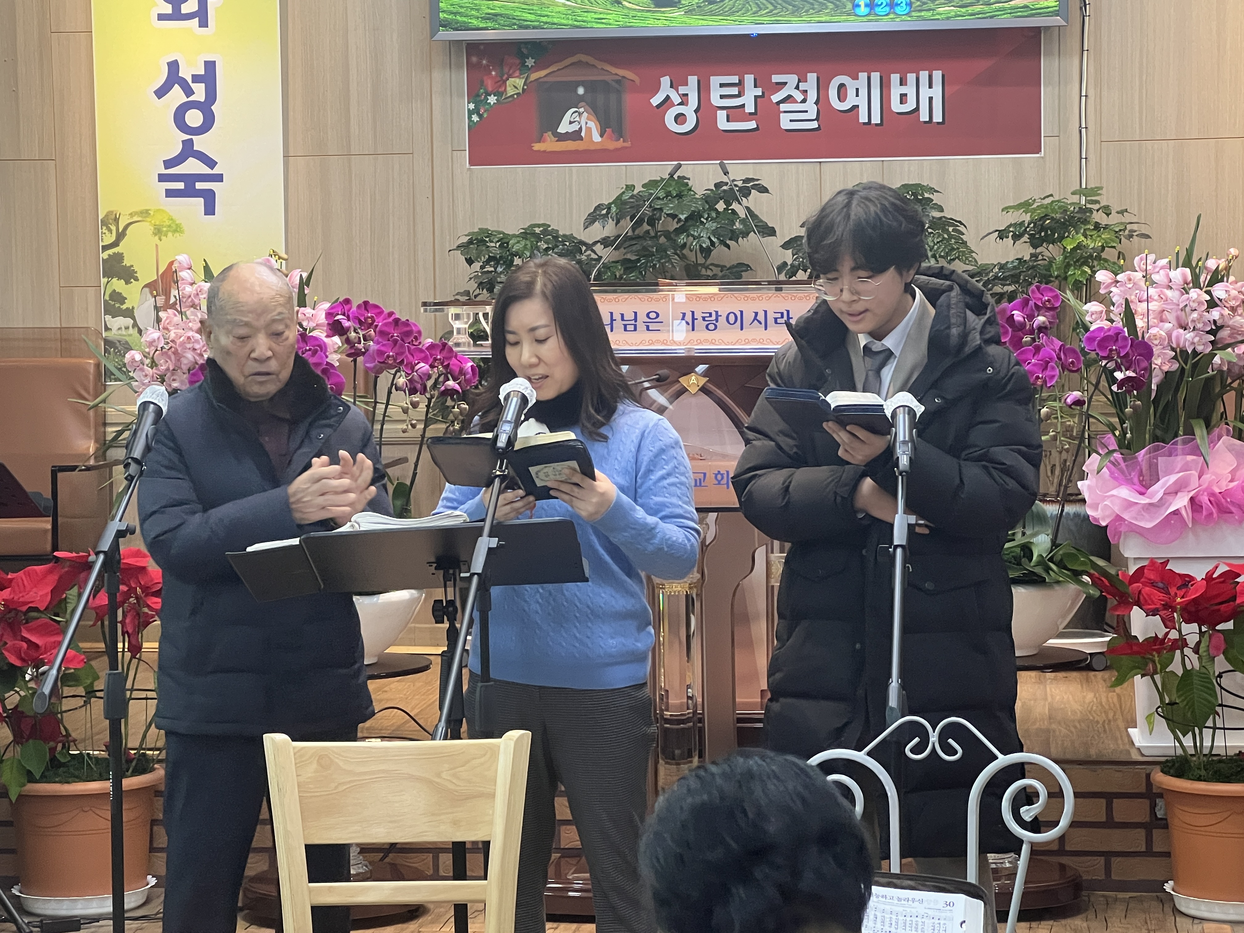 사진